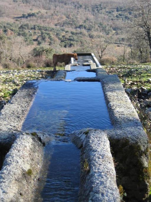 Casa Rural Cristina I San Pablo de los Montes Dış mekan fotoğraf